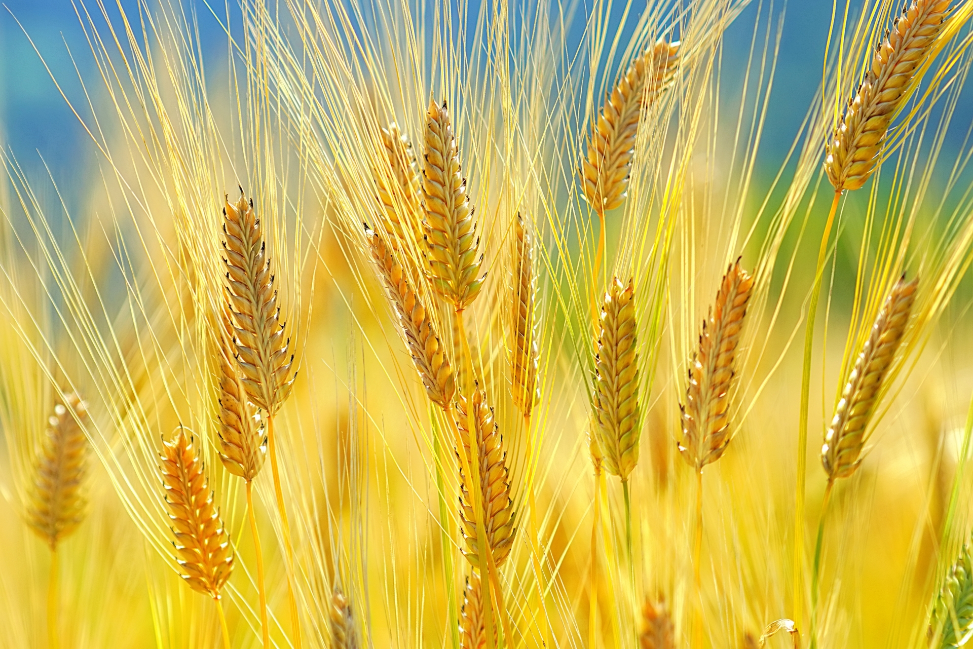 農業DXのイメージ